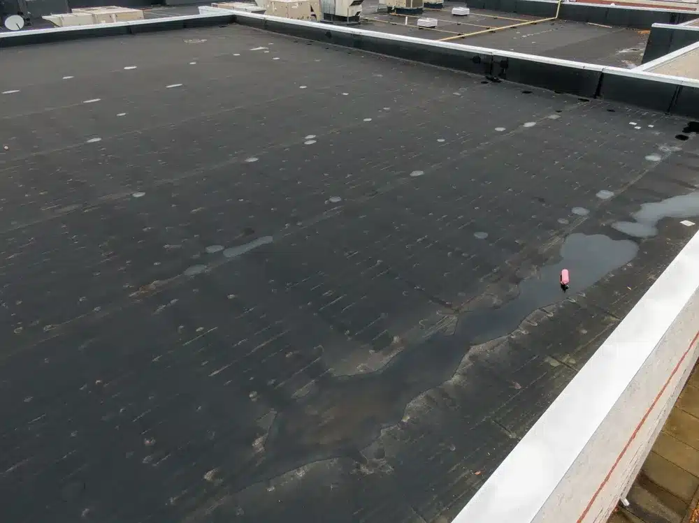 epdm 3